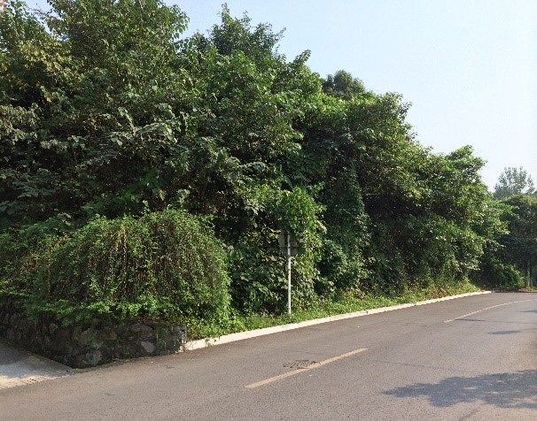 1690789124028036743.jpg 圖片3.jpg